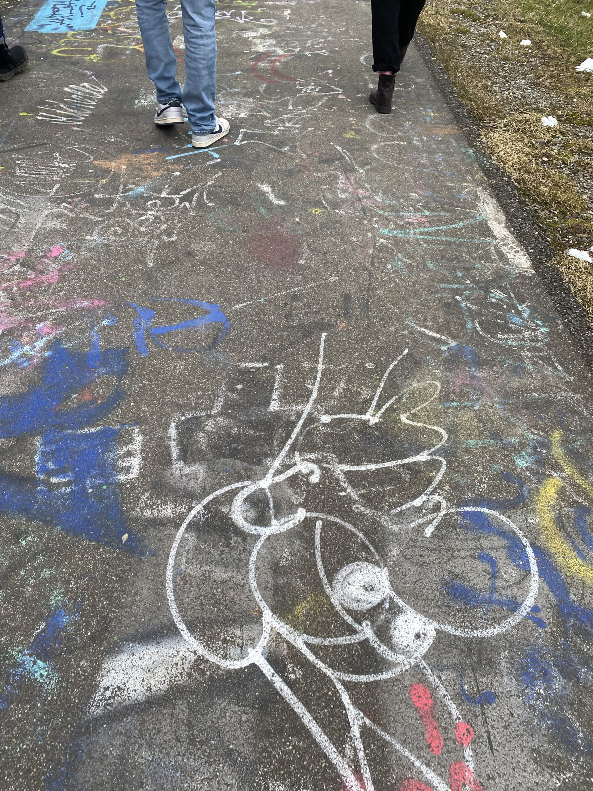 Projekt Bild