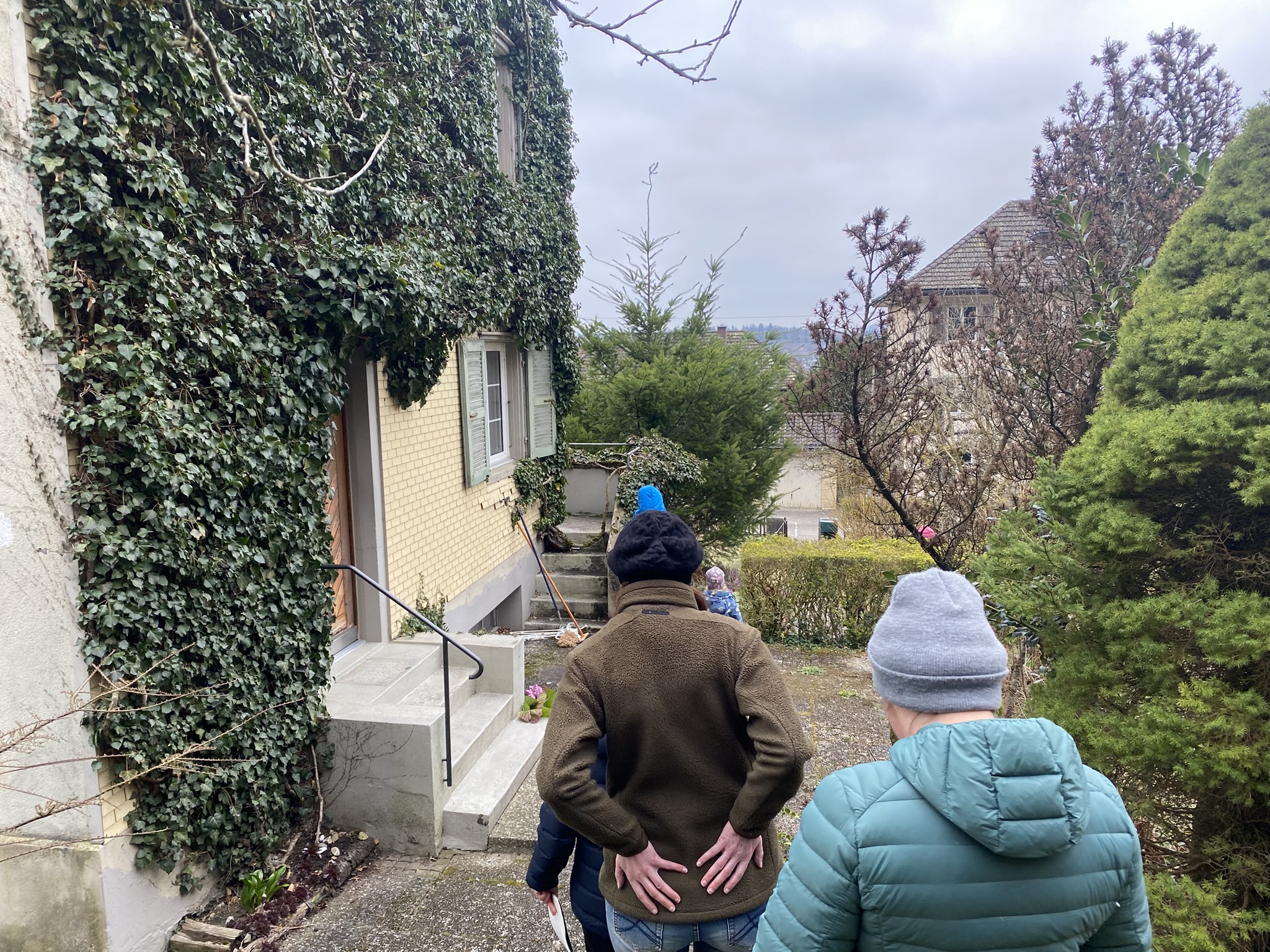 Projekt Bild