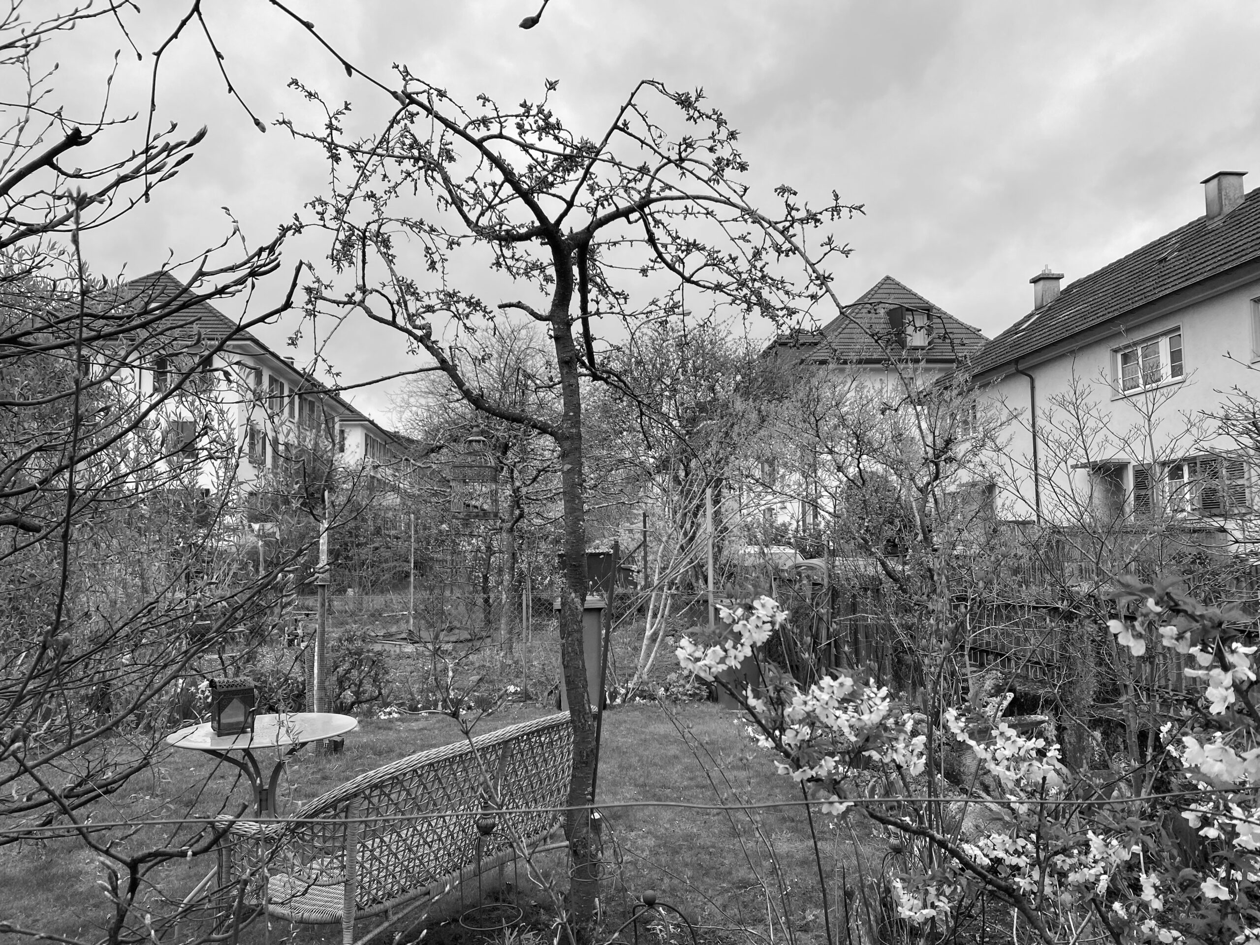 Projekt Bild