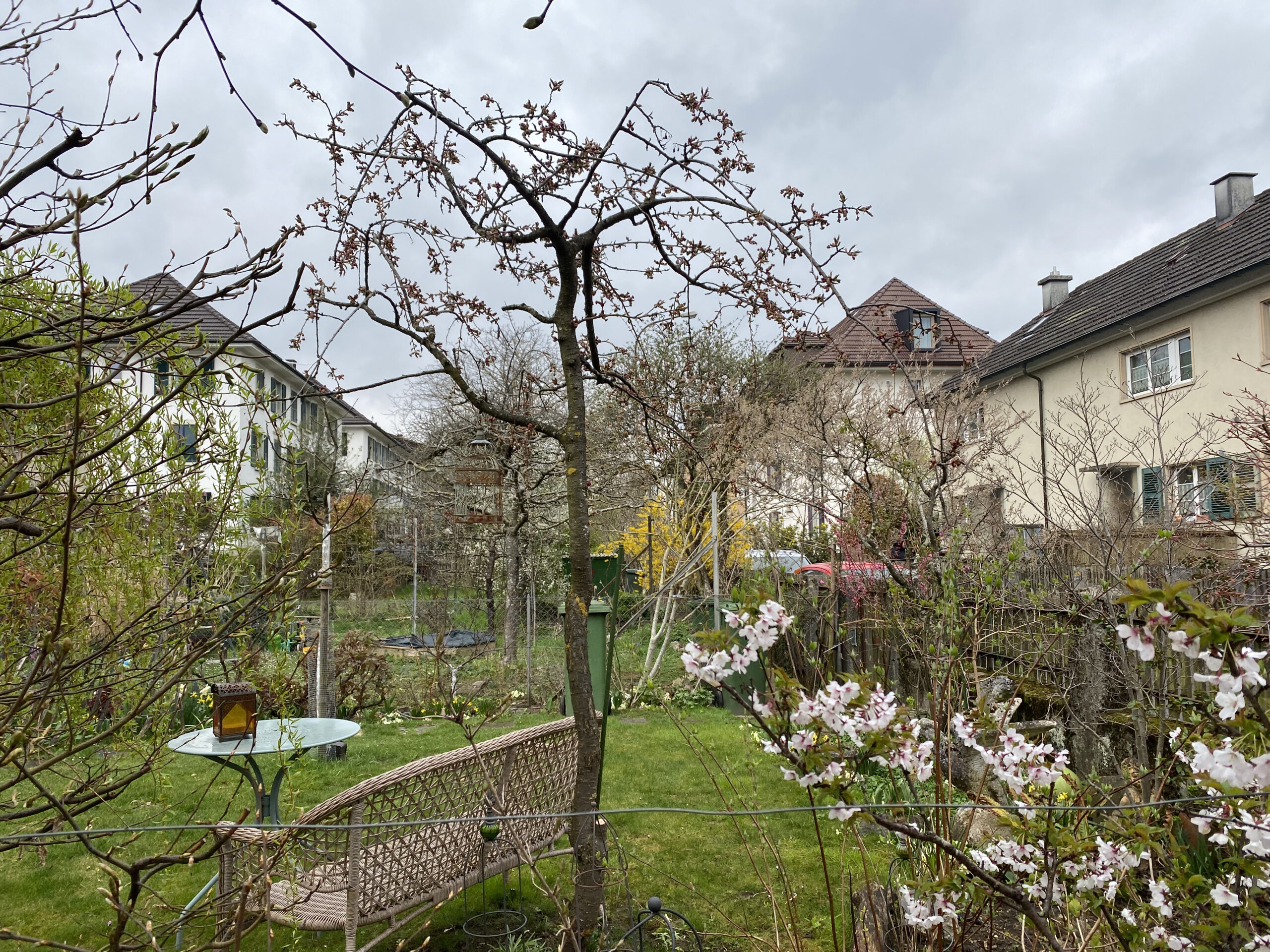 Projekt Bild