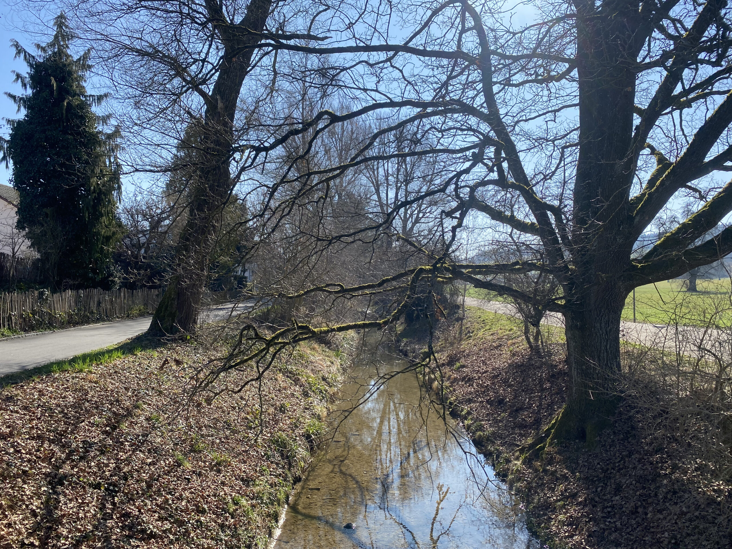 Projekt Bild